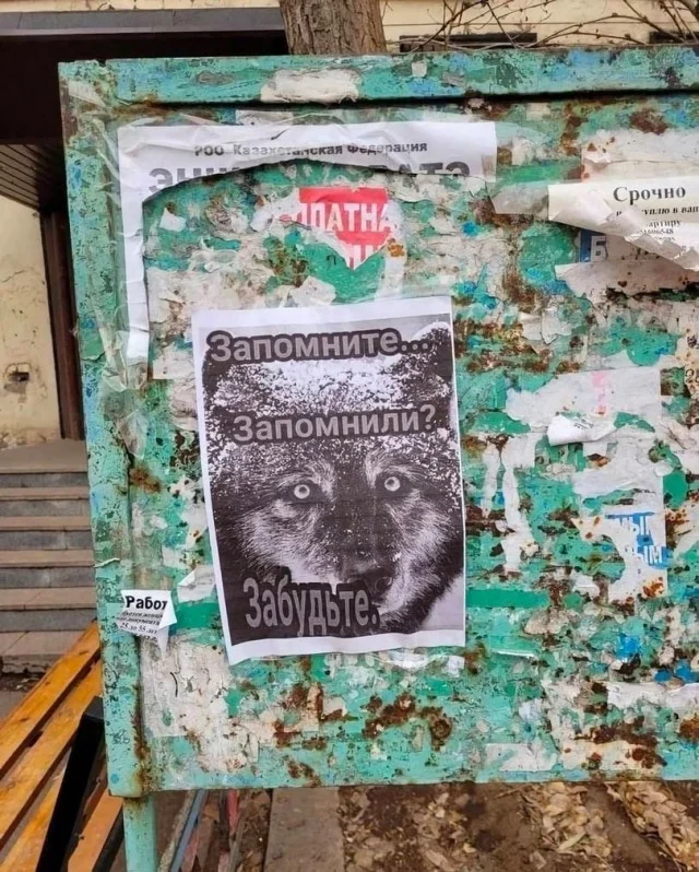 Картинки