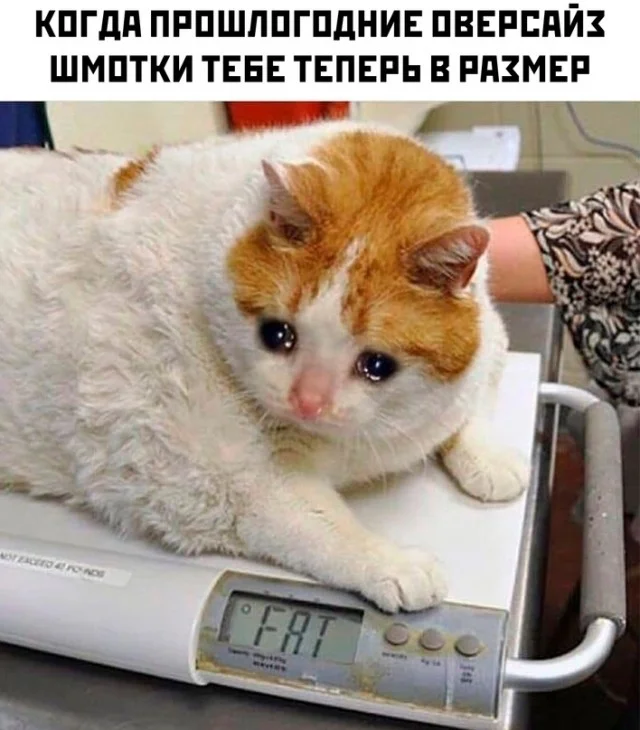 Весёлые