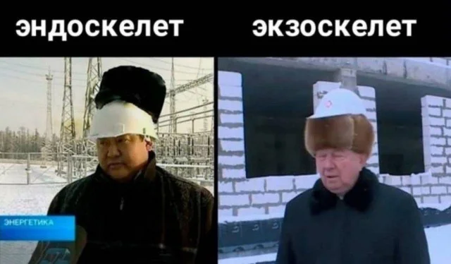 Немного картинок