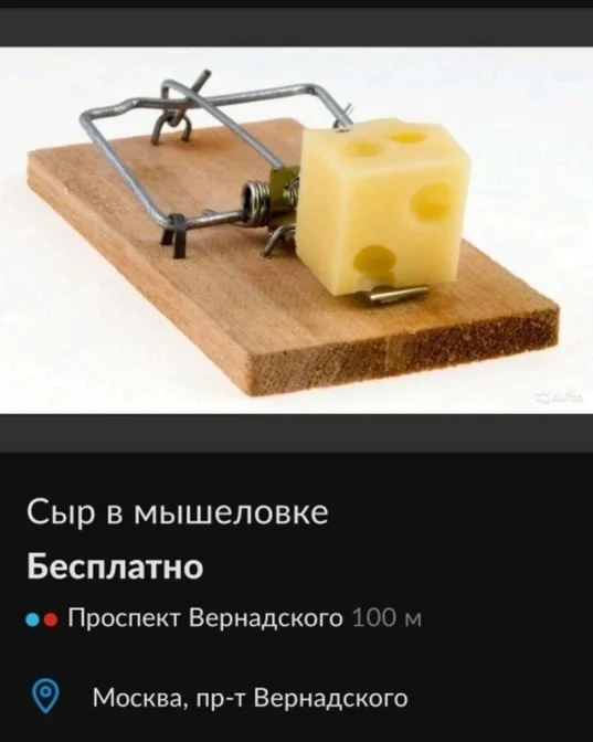 Картинки