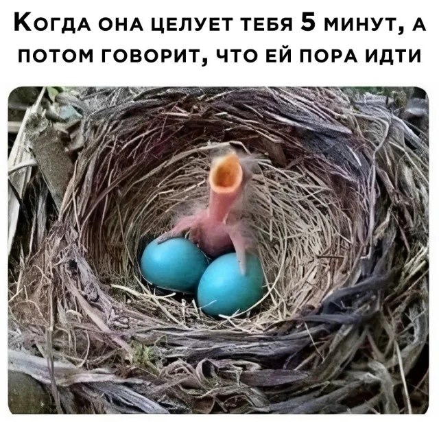 Юмор в картинках и без
