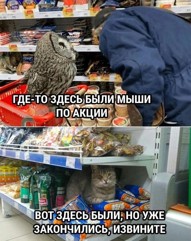 Немного картинок