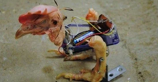 Деградация