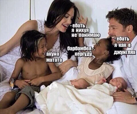 Картинки (03.12.23)