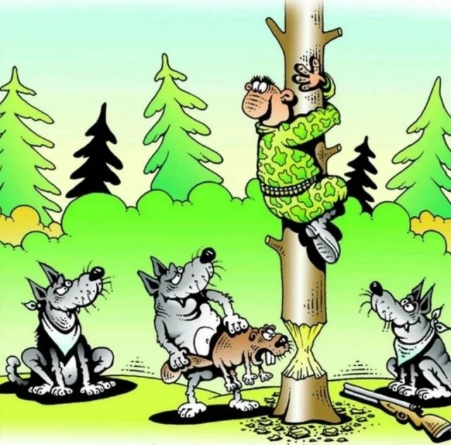 Так себе картинки