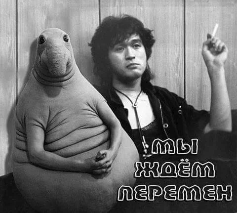 Картинки (29.11.23)