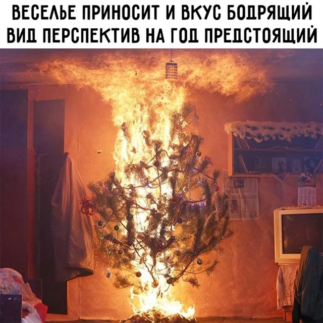 Немного картинок (29.12.23)