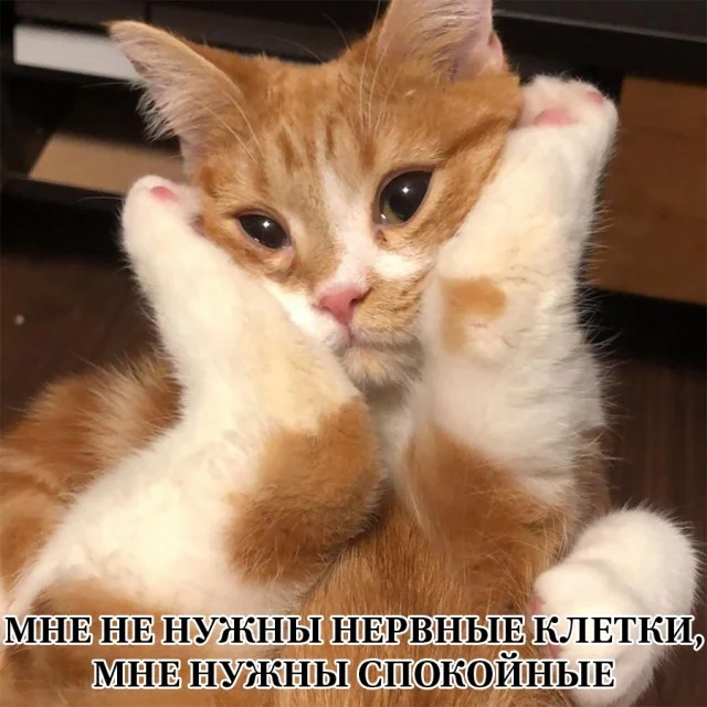 Немного картинок (29.12.23)