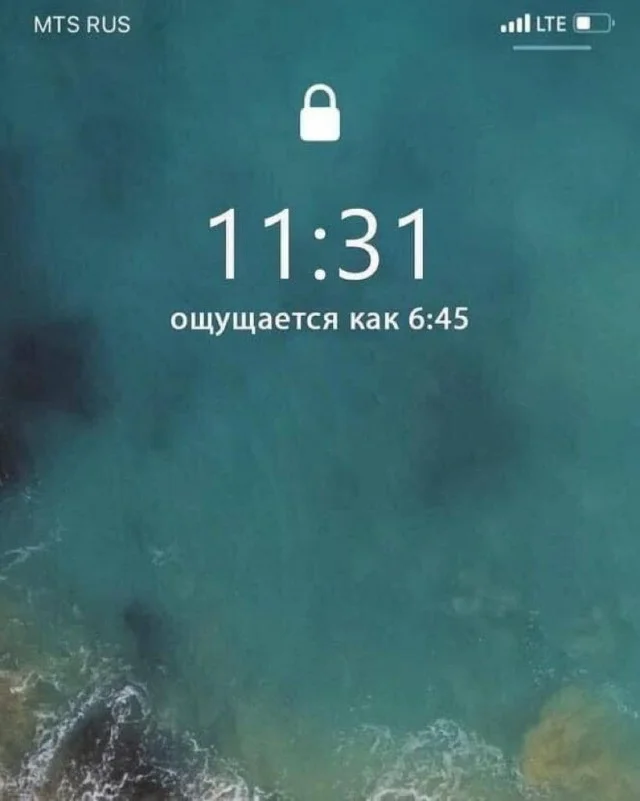 Картинки оттуда и отсюда (08.12.23)