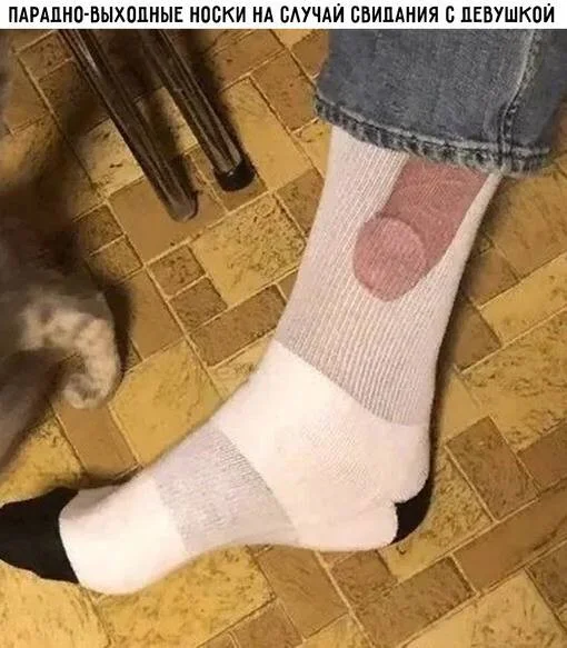 Картинки (08.12.23)