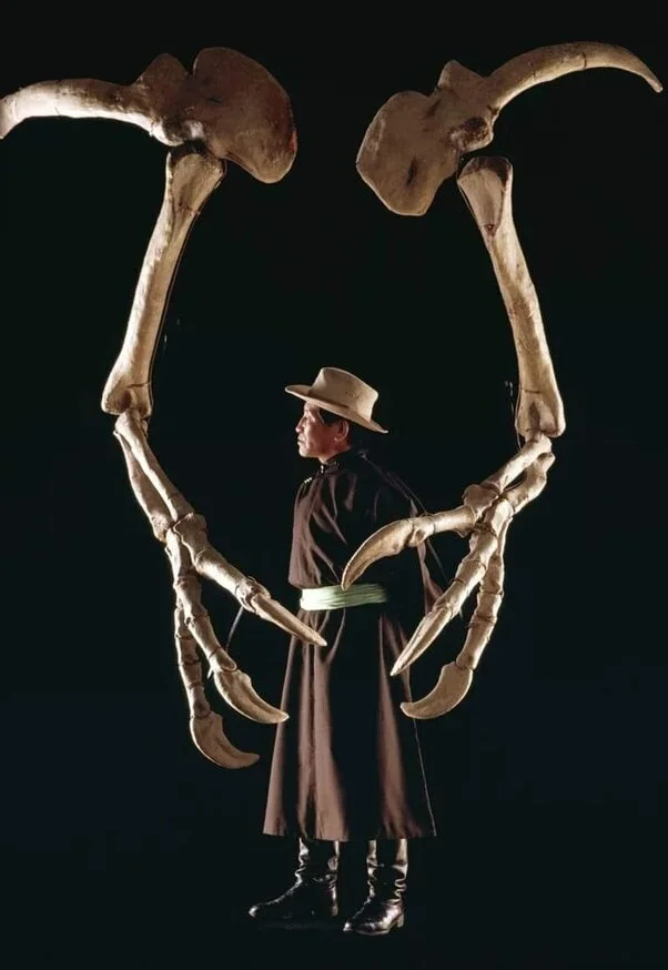 Ужасные руки-загребуки. Их обладатель жил в Монголии задолго до Чингисхана