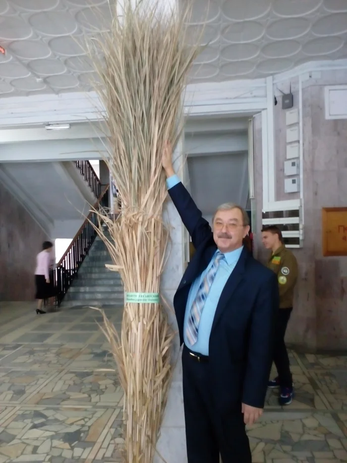 Новая эра в аграрии: Открытие пяти фактов о внедрении мискантуса в России