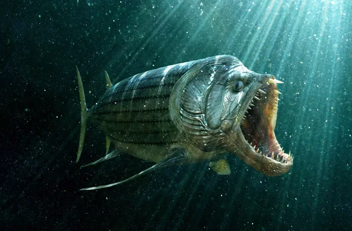Морской тирант: Ксифактин, страшный хищник древности, покорявший акул и морских ящеров