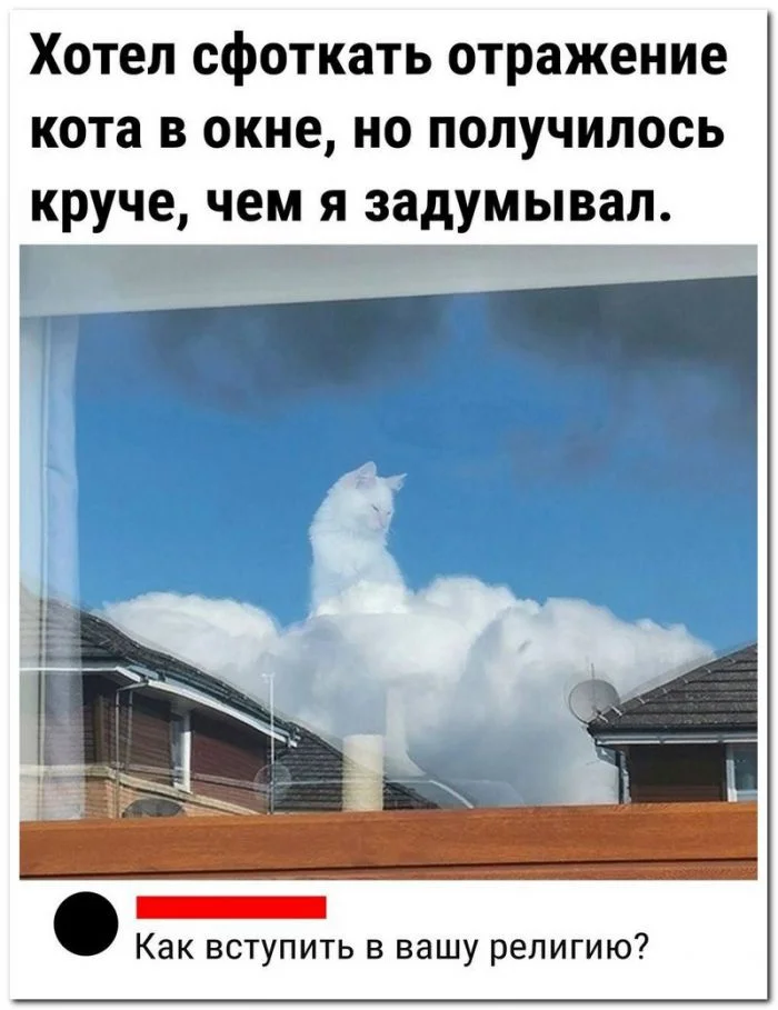 Забавные скриншоты из социальных сетей