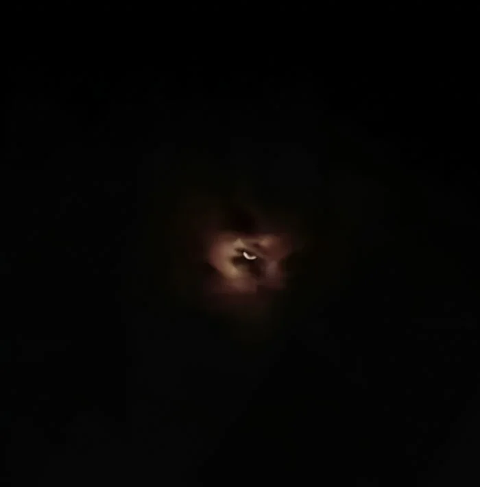 25 феноменов парейдолии, созданных мозгом