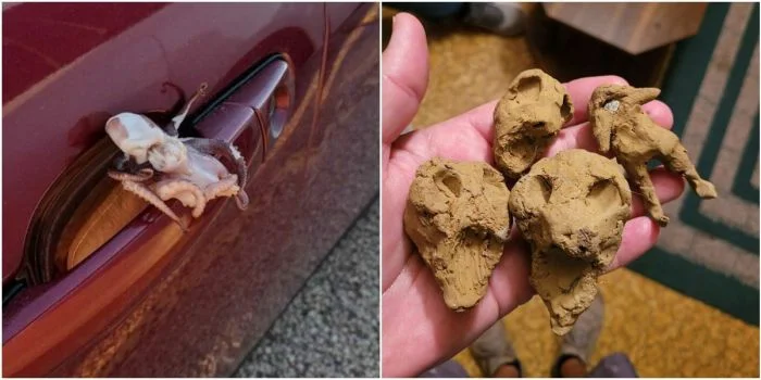 Загадочные находки: 20 странных и пугающих предметов, найденных обычными людьми