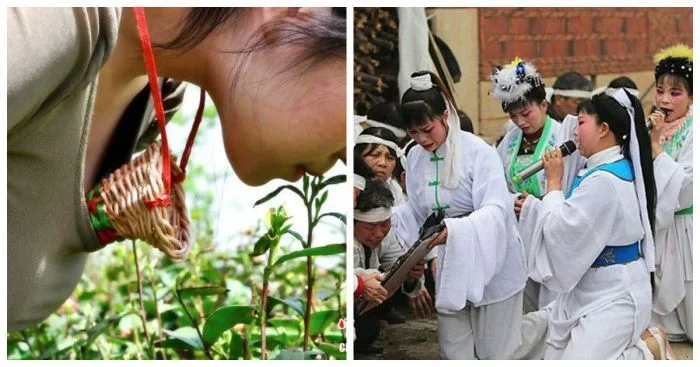 Уникальные покупки: 10 товаров, доступных исключительно в Китае