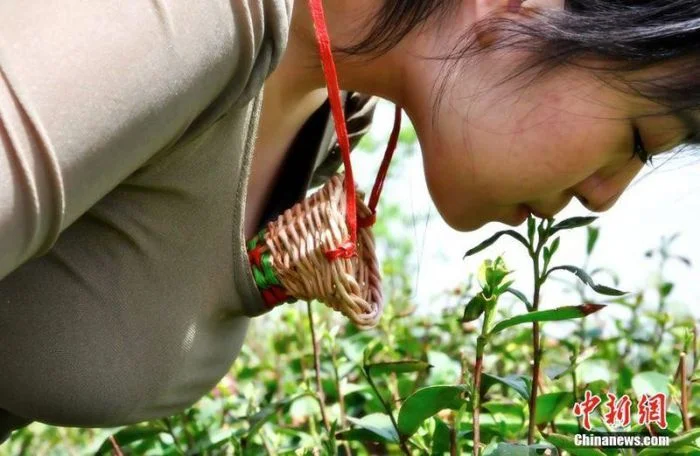 Уникальные покупки: 10 товаров, доступных исключительно в Китае