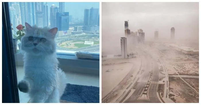 Фотографии, раскрывающие загадочную сторону Объединенных Арабских Эмиратов