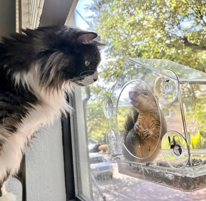 На общую тему (29.12.23)