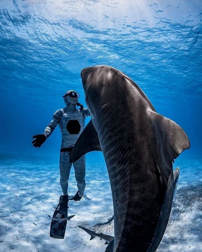 На общую тему