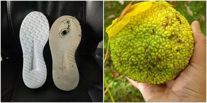 25 любопытных кадров, завоевавших внимание в интернете