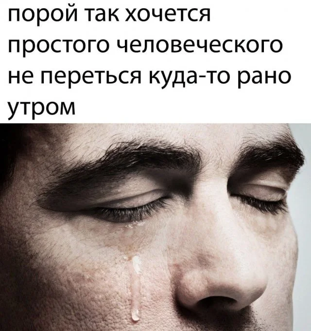 Лучшие скриншоты из соцсетей