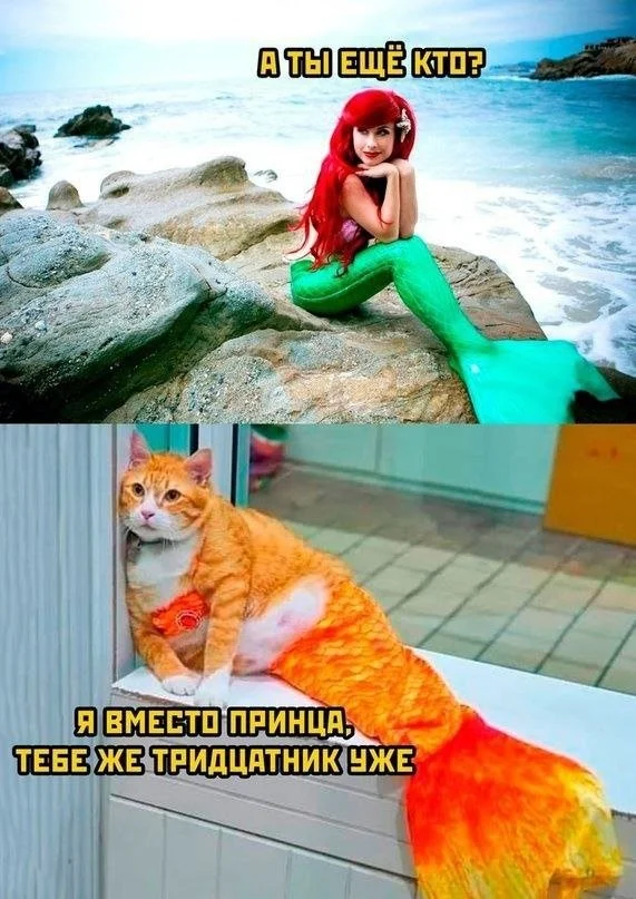 Лучшие скриншоты из соцсетей