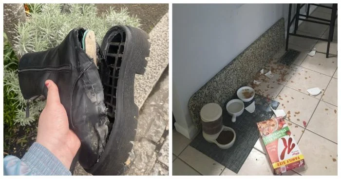 Горькая реальность: 15 кадров, раскрывающих, почему понедельники не приносят радости