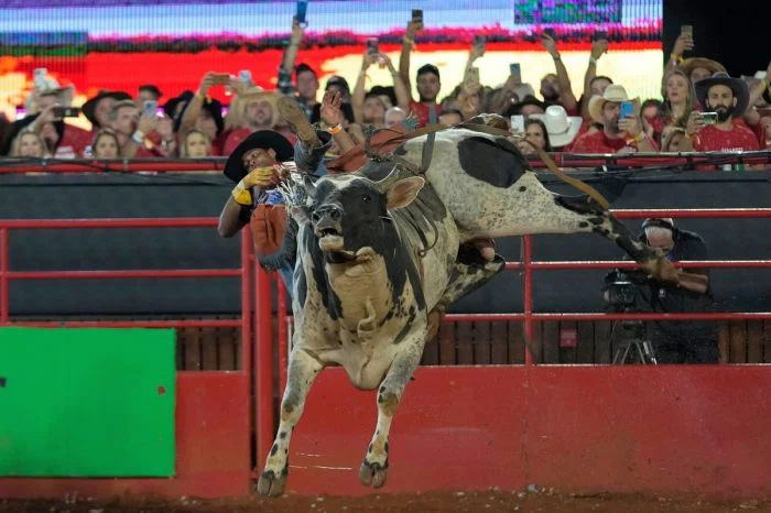 На общую тему