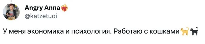 От учебных парт к рабочим столам: истории пользователей о том, на кого учились и кем стали работать