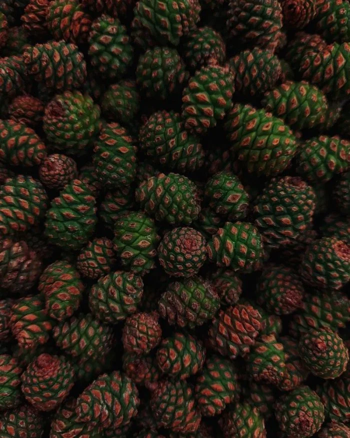 Всё вразнобой