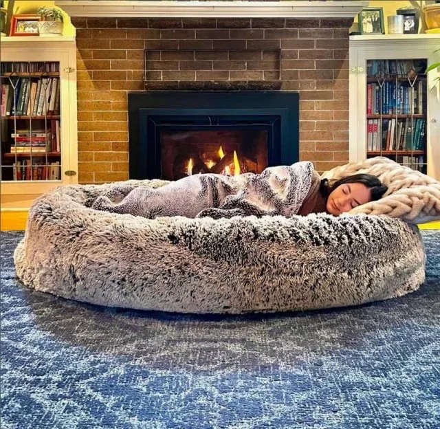 Оригинальные лежанки, вдохновленные собачьим стилем