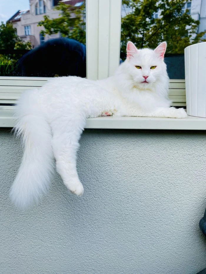 На общую тему