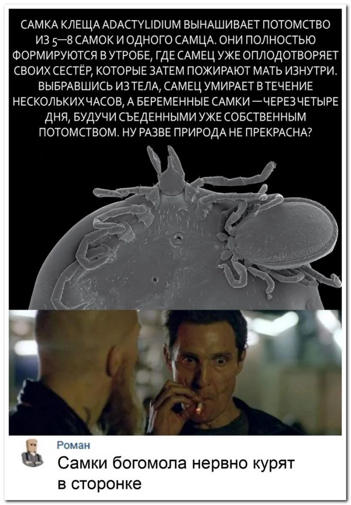 Забавные скриншоты из социальных сетей (29.11.23)