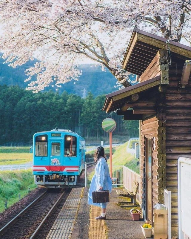 Япония в объективе: 14 захватывающих фотографий, рассказывающих о стране лучше, чем обычные путеводители