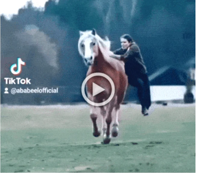 Просто гифки