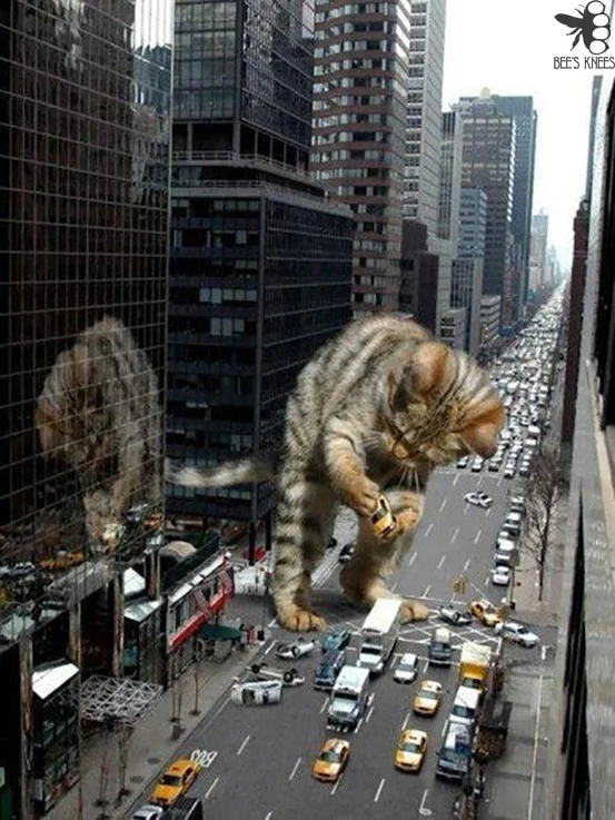 Необычные картинки - ver. 137