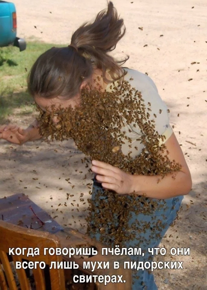 Нестандартный юмор :) (07.12.23)