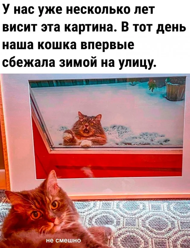 Так себе картинки (02.01.24)