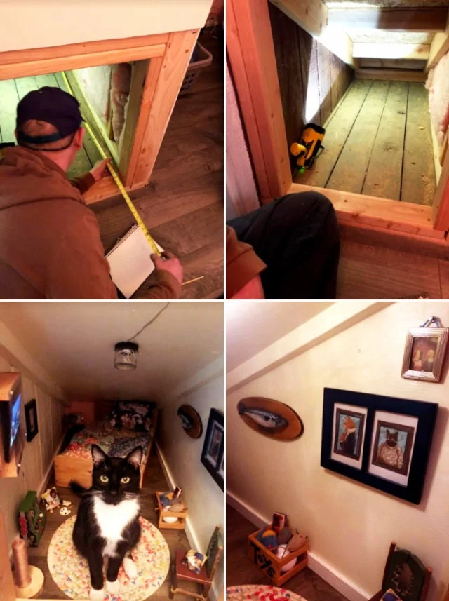 Кошачий дом