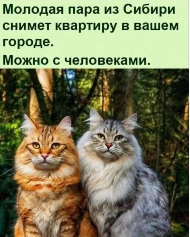 Деградация (07.12.23)