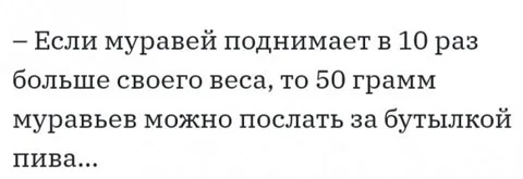 Баяны (04.01.24)