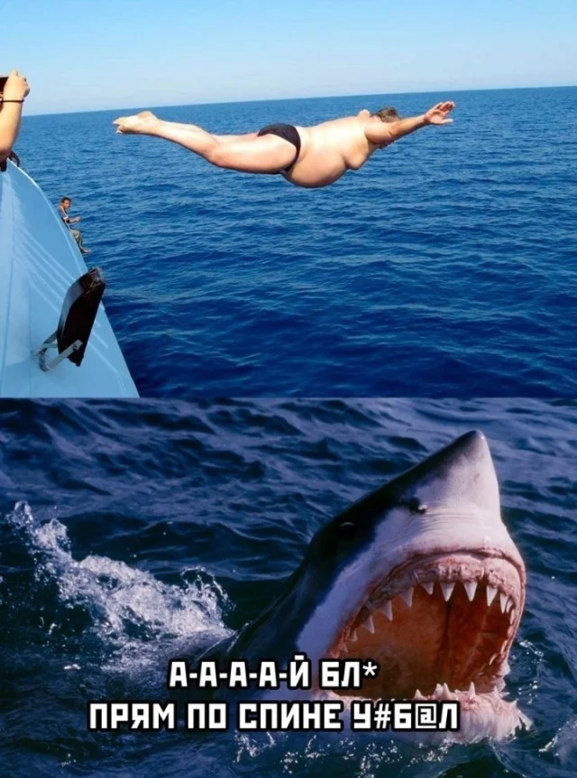 Картинки (14.12.23)