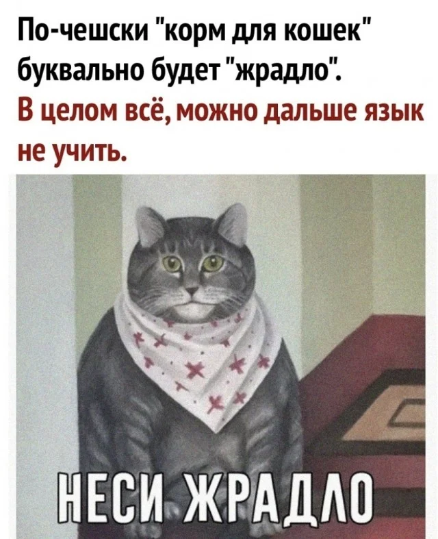 Так себе картинки (18.12.23)