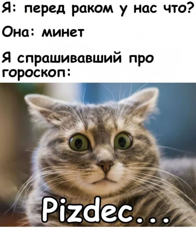 Пошлые мемы (22.12.23)