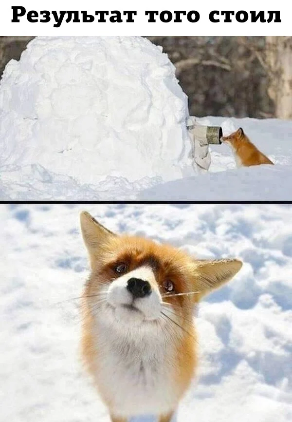 Так себе картинки (29.12.23)