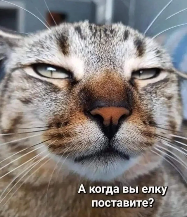 Картинки с новогодним налетом (23.12.23)