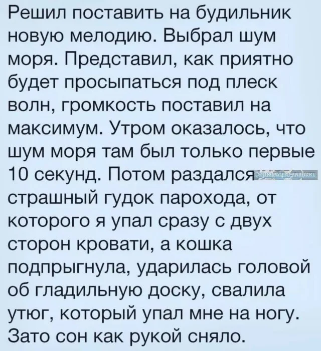 Картинки (25.12.23)