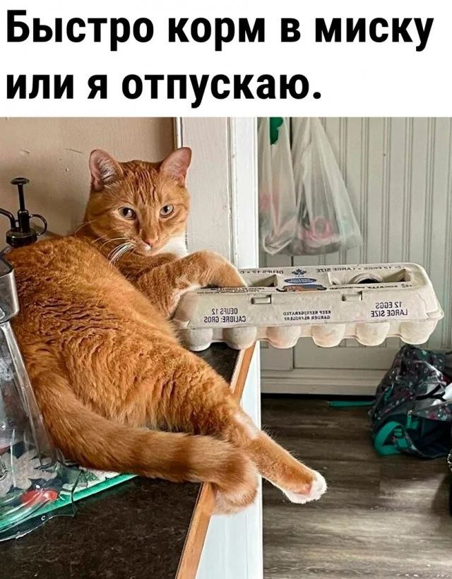 Так себе картинки (29.12.23)